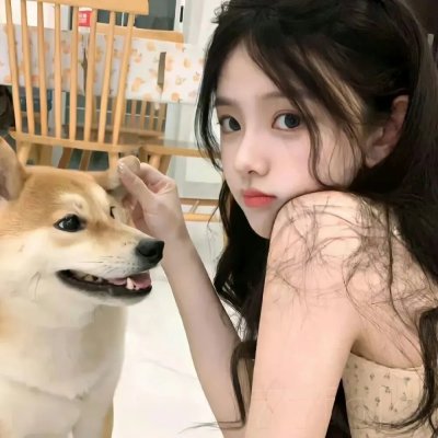 救起池中的猎豹海报